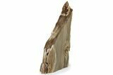 Polished Petrified Wood Stand-up - McDermitt, Oregon #222166-1